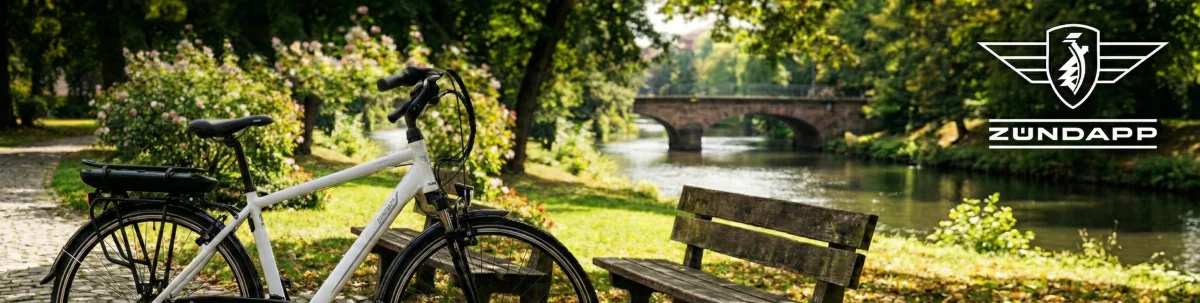 Rower elektryczny trekkingowy Zundapp Z802 19" 28" 250W 10,4Ah UE 2024 - zdjęcie 19