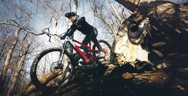 ETMK1295311UM 12.jpg