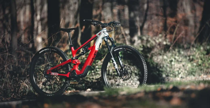 ETMK1295311UM 13.jpg