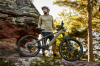MTB Fischer MONTIS 10.0i Fully RH 46 cm 711Wh Brose 90Nm