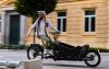 Rower elektryczny cargo KETTLER CARGOLINE BOSCH 85Nm 750Wh HT-800 #zdjecie2