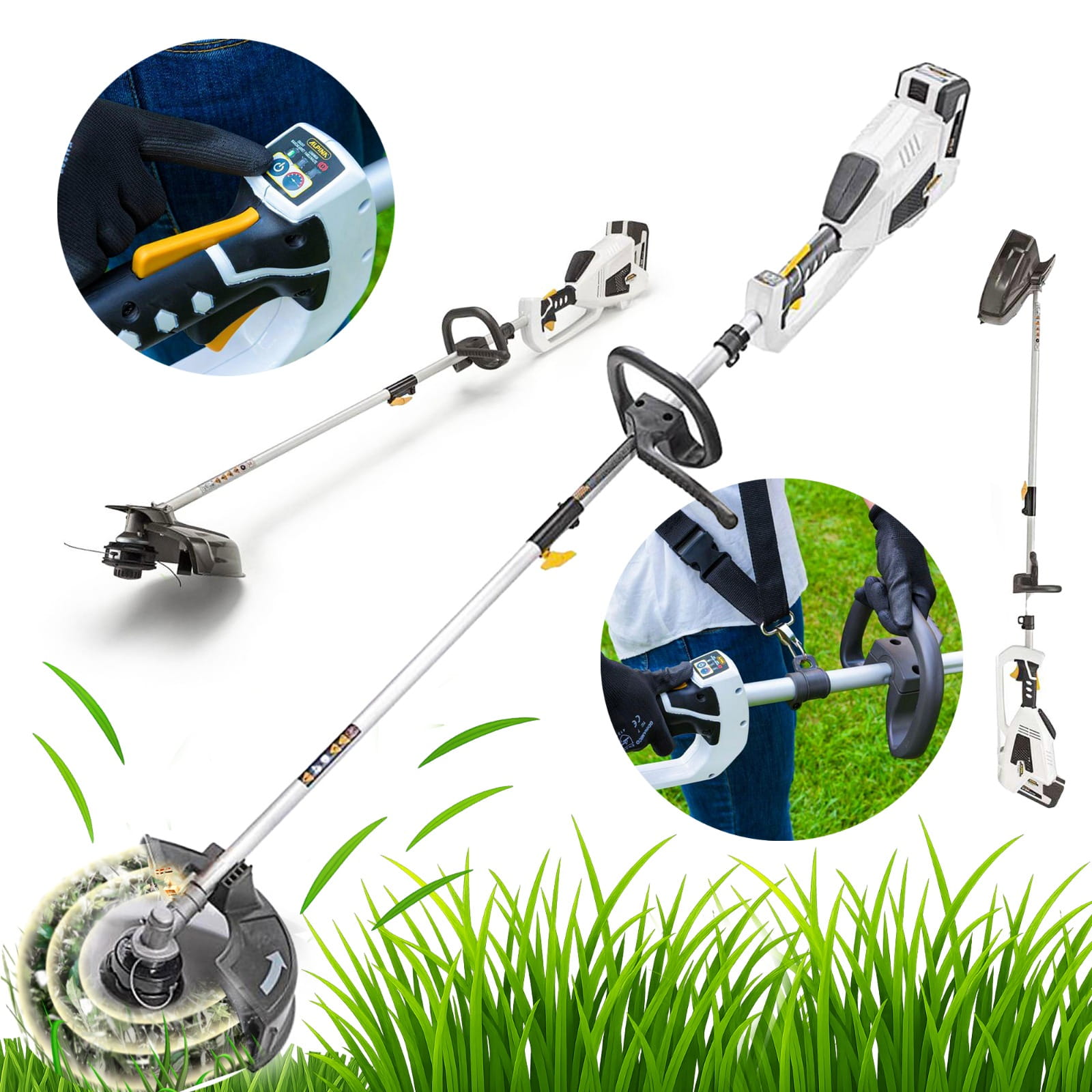 WhatsApp Image 2025-09-03 at 13.19.22.jpeg